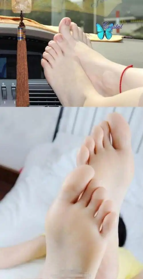 你最想舔哪一双?