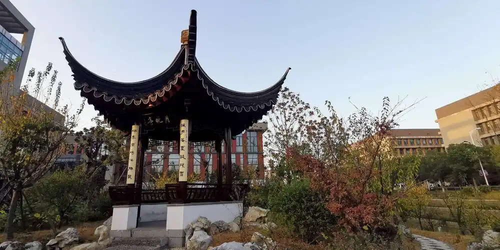 南京大学校园秋景