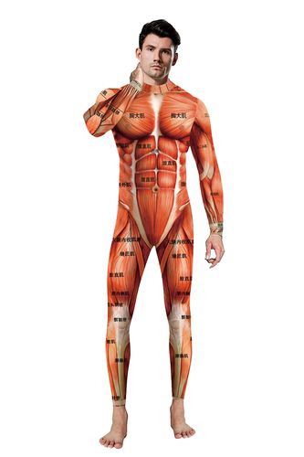 人体全身肌肉连体衣五脏六腑印花经络穴位位图衣服卫衣