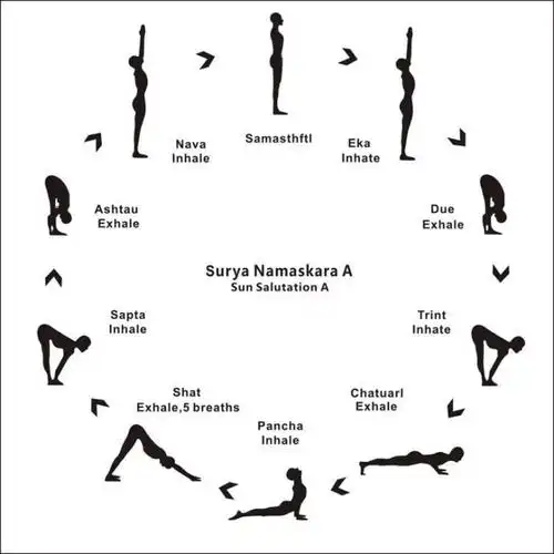 每日一练瑜伽之拜日式0708之5次