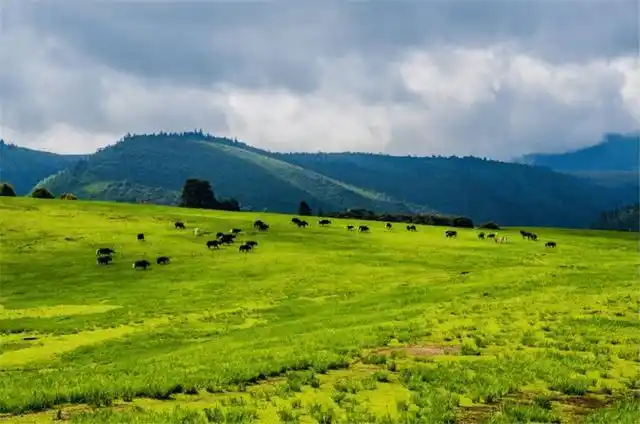 丽江的颜值有多高等你来