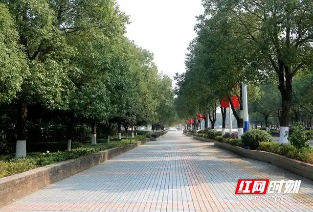 县园林绿化服务中心根据冬季管护作业要求,组织专业养护人员在城区内