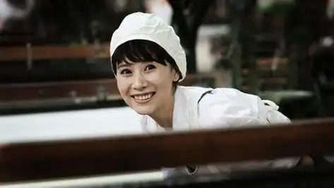 海清所演的电视连续剧