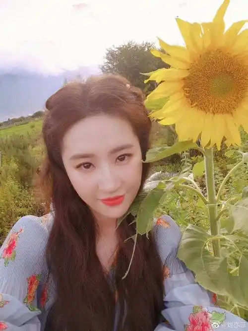 刘亦菲回到美国生活,穿千元卫衣素颜像大学生,细节暴露真实人品