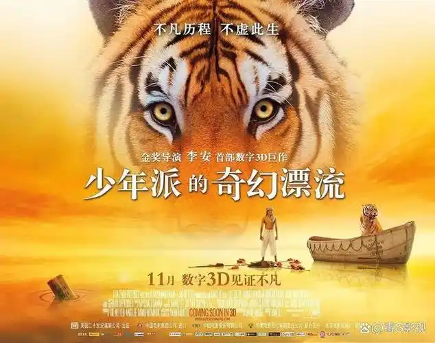 高分电影第59期:人性兽性《少年派的奇幻漂流》精神救赎奇幻之旅