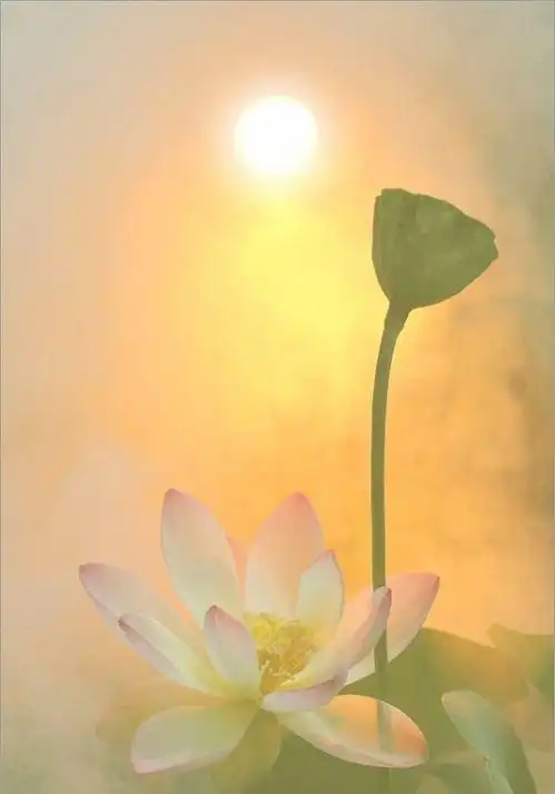 一方一净土,一笑一尘缘, 一念一清净,心是莲花开.