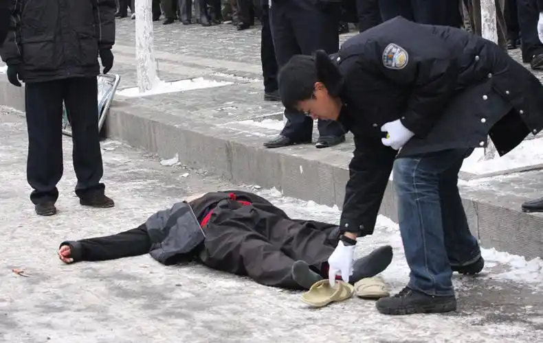 26日7时许,一男子在哈尔滨当街砍伤12人,砍死1人.