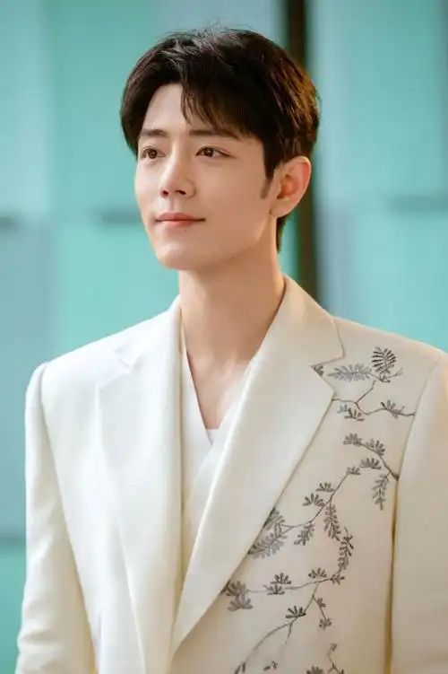 央视为何独爱肖战?原因揭秘!|黑子|疯狂|小飞侠|喜剧