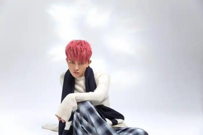 合肥"超女"张晓钰:风格和个性从小就这样(图)