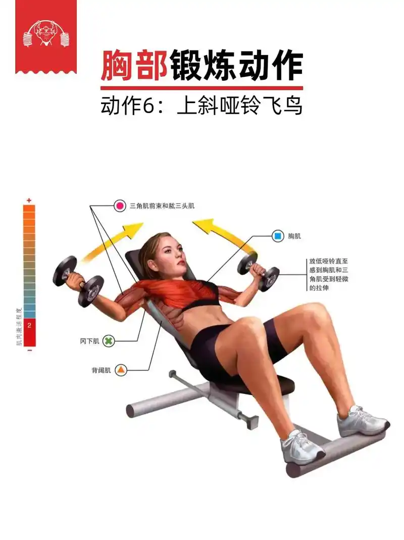 男人在健身房练胸必练的动作,特别是第四个.男人练胸肌的好处: - 抖音