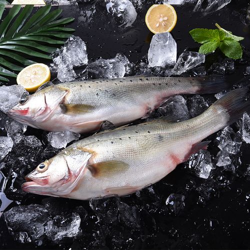 3斤 冰鲜海鲜水产 菜市场 哈鲜食铺生鲜超市
