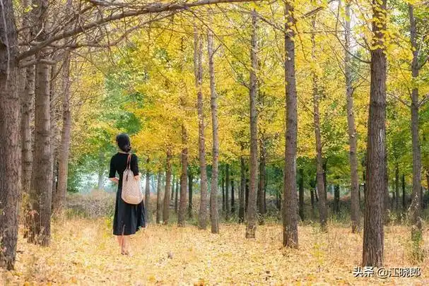 立秋朋友圈说说的好句子,立秋朋友圈说说的好句子图片(给你一个期待已