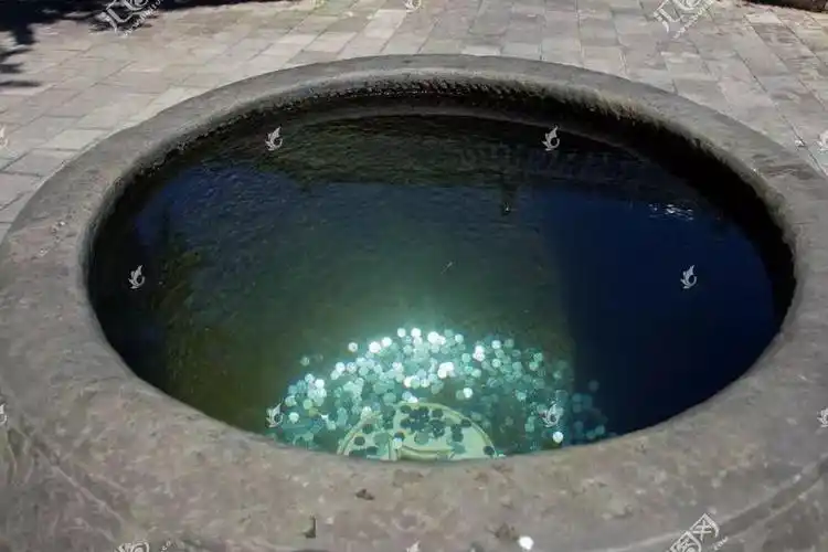 许愿池的那些硬币,最后被谁拿走了?_中国