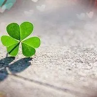 幸运草头像图片大全_微信头像图片大全