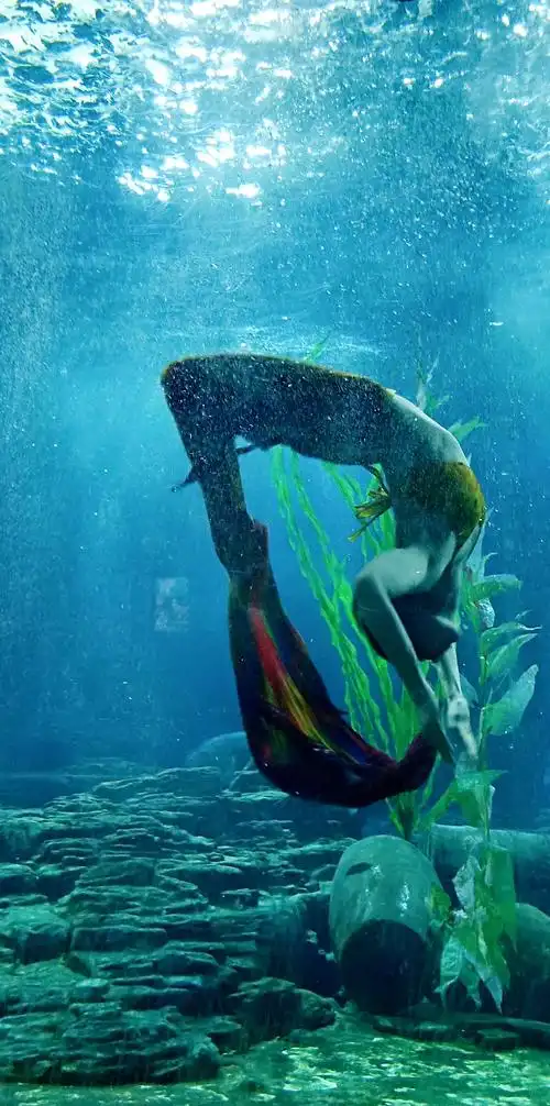 梦幻海底奇世界,婀娜多姿美人鱼.