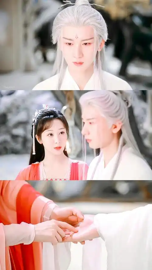 沉香如屑 杨紫成毅