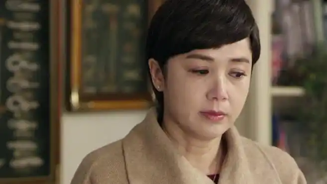 《守婚如玉》人物盘点,蒋雯丽蒋欣上演婚姻攻守战