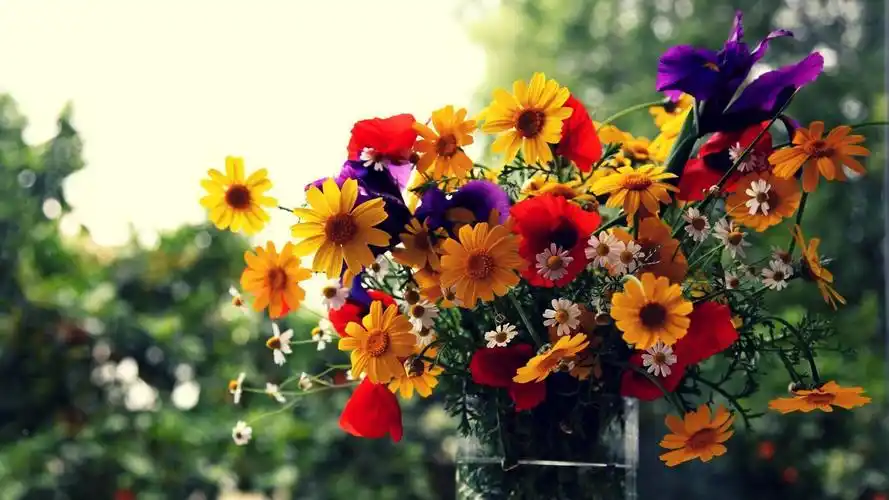 24张绝美花束高清大图送给你,半个月换一张壁纸,一年都不重样