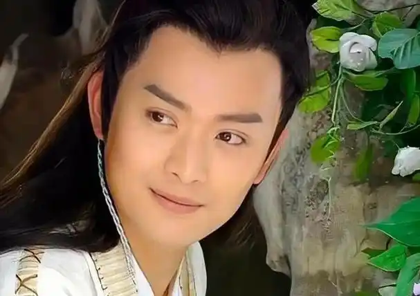 曾经出演过很多经典的武侠剧和古装剧,如《书剑恩仇录》《武林外史》