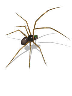 240_320竖版 竖屏gif 动态图 动图