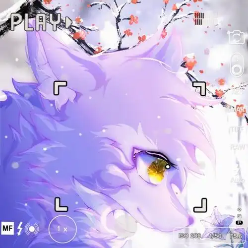 紫岚- 半次元 - acg爱好者社区