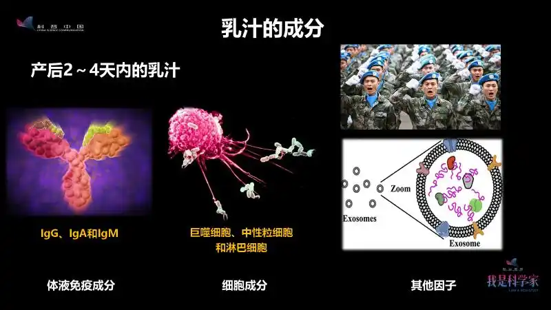 暴露在充满微生物的世界婴幼儿为什么需要母乳牛奶能替代吗
