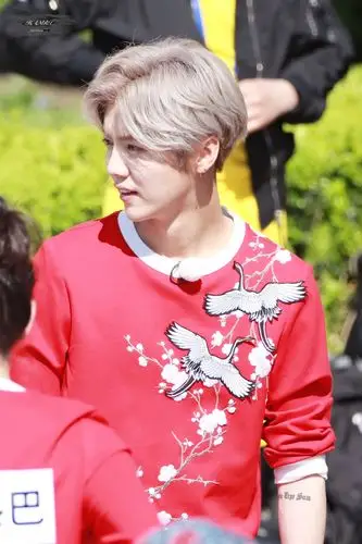 鹿晗～奔跑吧布拉格录制20170516-by磨叽磨叽磨叽