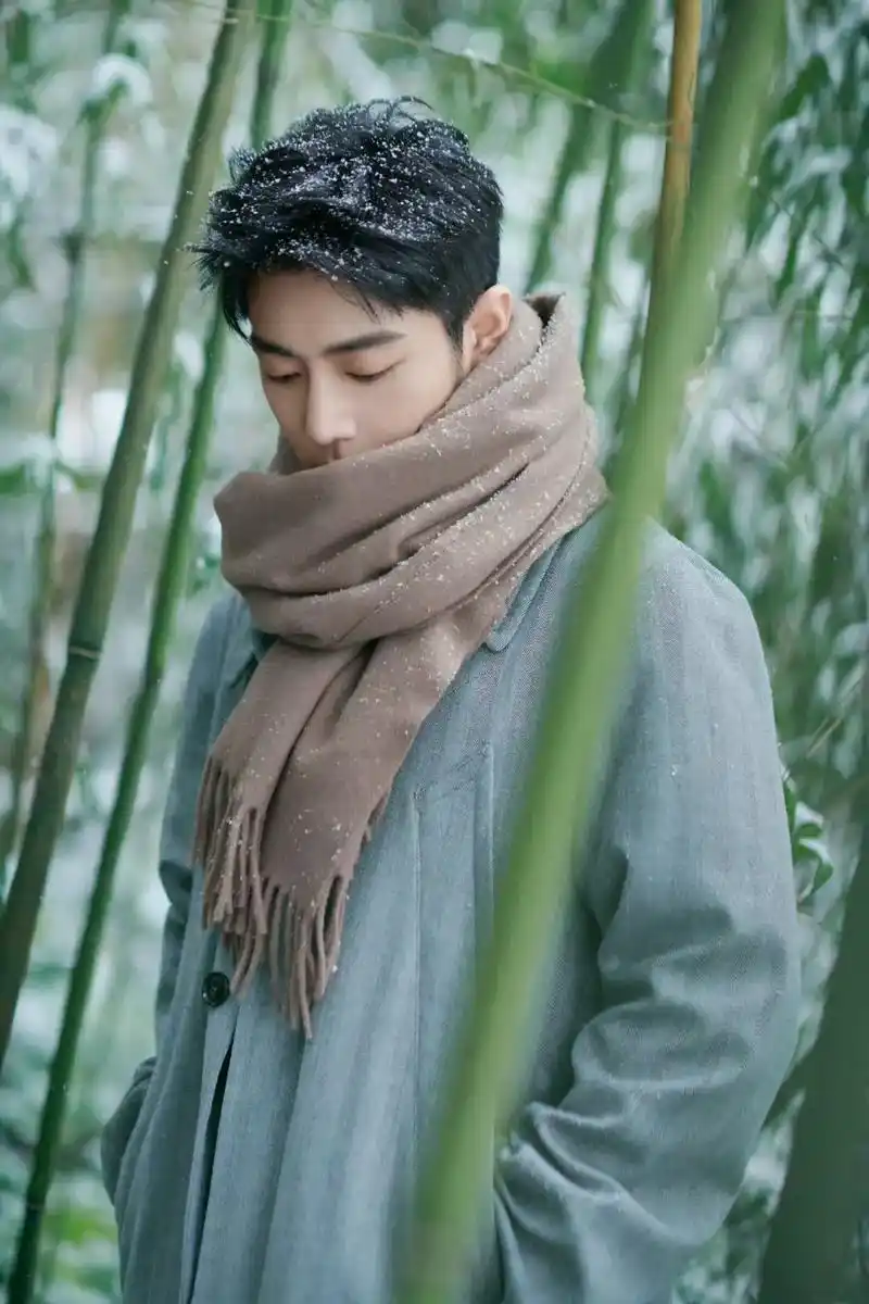 肖战冬至竹林大片 #冬至已至春归有期 #氛围感 #肖战 # - 抖音