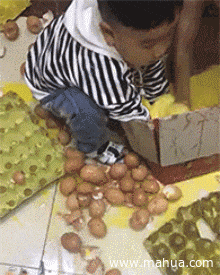 熊孩子又开始造孽了