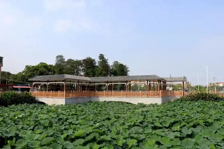 万顷沙镇"美丽乡村"创建情况如何?市级验收走访,收到一张合格答卷! -