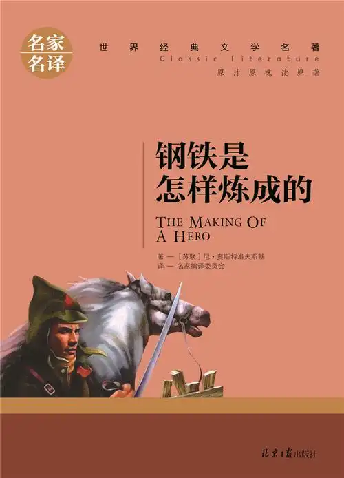 名家名译 世界经典文学名著《钢铁是怎样炼成的》正版书籍 图书
