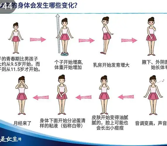 期教育讲座 写美篇     青春期是由儿童逐渐发育成为成年人的过渡时期