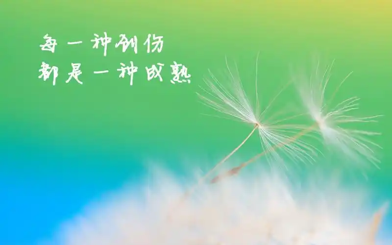 > || 更新时间:2015-03-10 颜色分 绿色 关键词:  文字 励志 简约