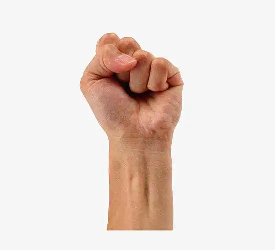 握紧拳头庄严宣誓发誓手势装饰图