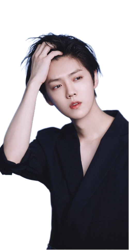 鹿晗立绘by小祝总