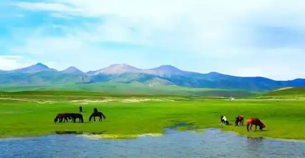 赵无恤之姊赵前,乃代王之妻.