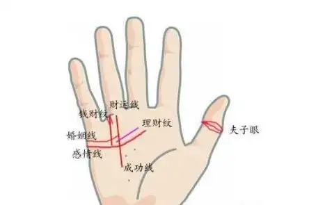 好的手相是什么样的图马云的手相是什么样的