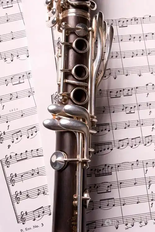 乐单簧管竖笛黑管