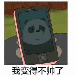 我变得不帅了 - 斗图表情包 - 斗图神器 - adoutu.com