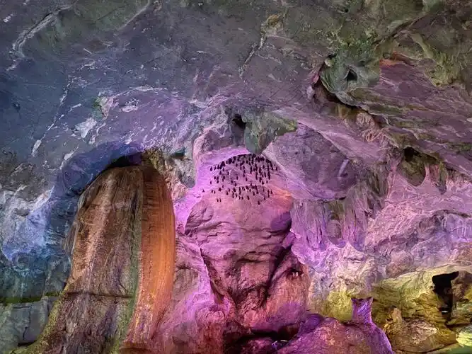 是双龙洞最小的游客吗