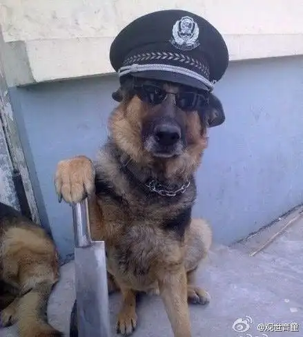 邢台一夜情信息qq群