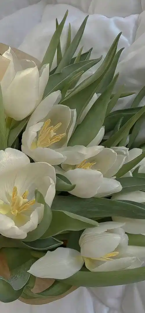 壁纸|ins风小众手机壁纸