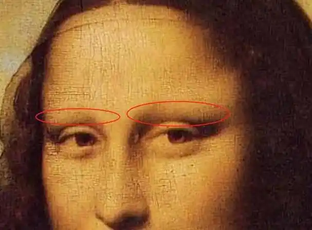 《蒙娜丽莎》中到底有多少秘密?放大30倍后,看她眼睛里有啥