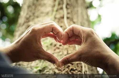爱心手势手部动作特写高清图片
