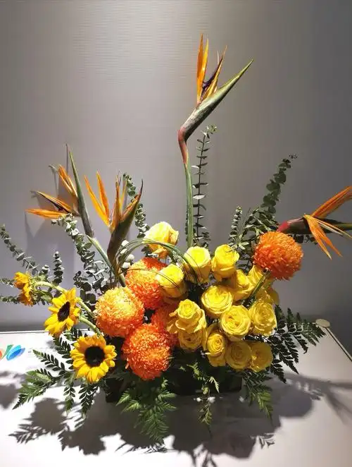 请欣赏鹤望兰,又称天堂鸟,极乐.鸟花,旅人蕉科草本植物.