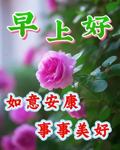 早安温馨问候祝福语|快乐|清晨|晨光|幸福|早上好_网易订阅