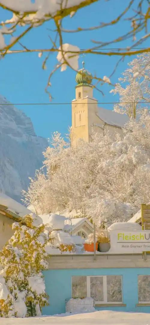 壁纸--阳光正好,微风不燥ins