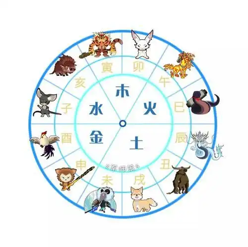十二生肖什么属相是金木水火土(精选五篇)