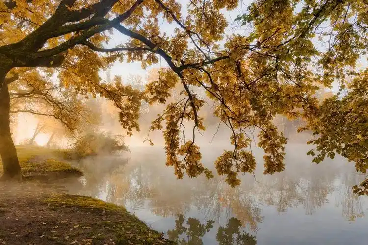好看的宇宙星空带鱼屏壁纸图片(3440x1440) - 4k风景高清壁纸 - 典雅