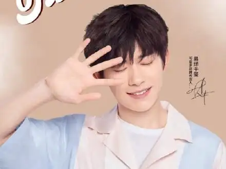 宝马天猫阿玛尼阿迪代言人